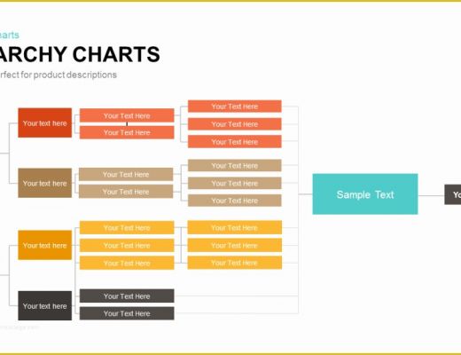 Hierarchy Chart Template Free Of Hierarchy Charts Powerpoint and Keynote Template