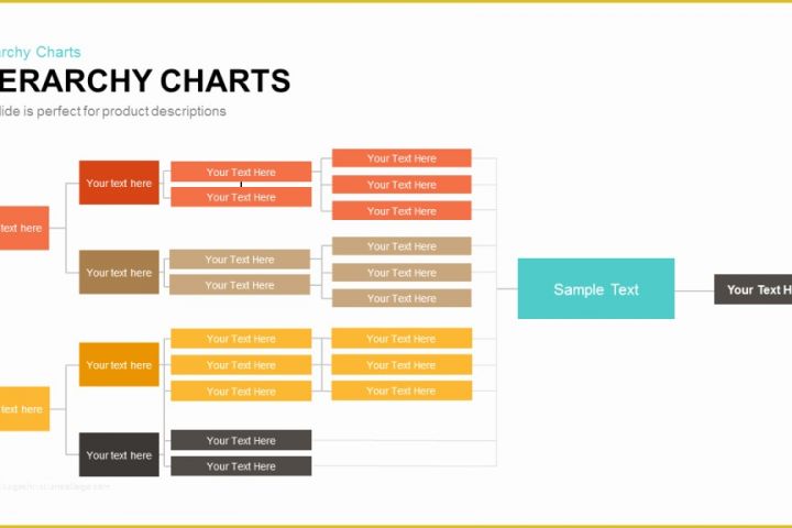 Hierarchy Chart Template Free Of Hierarchy Charts Powerpoint and Keynote Template