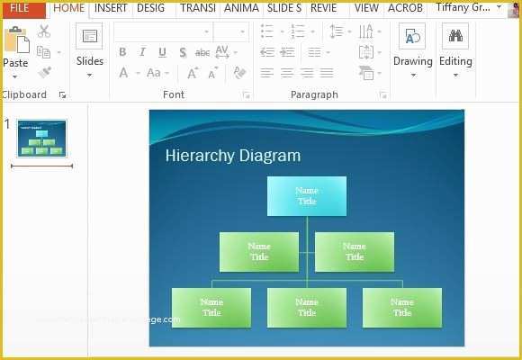 Hierarchy Chart Template Free Of Hierarchy Diagram Powerpoint Template