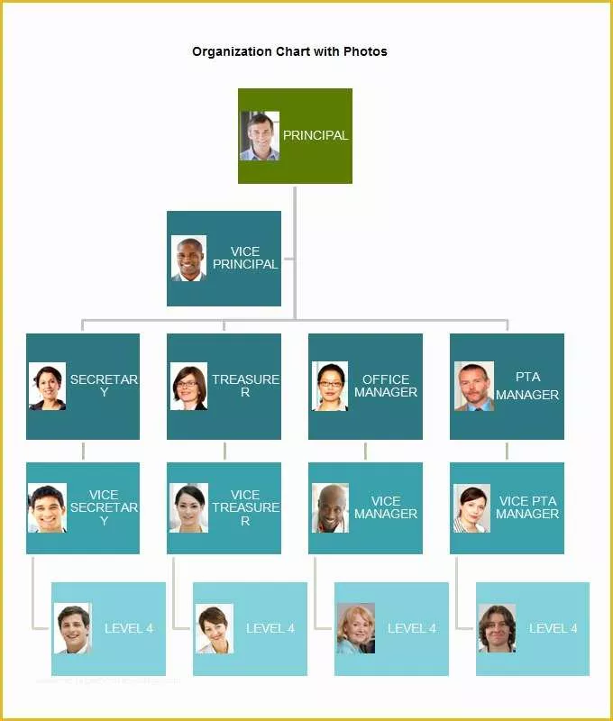 Hierarchy Chart Template Free Of organizational Chart Template 10 Free Word Excel Pdf