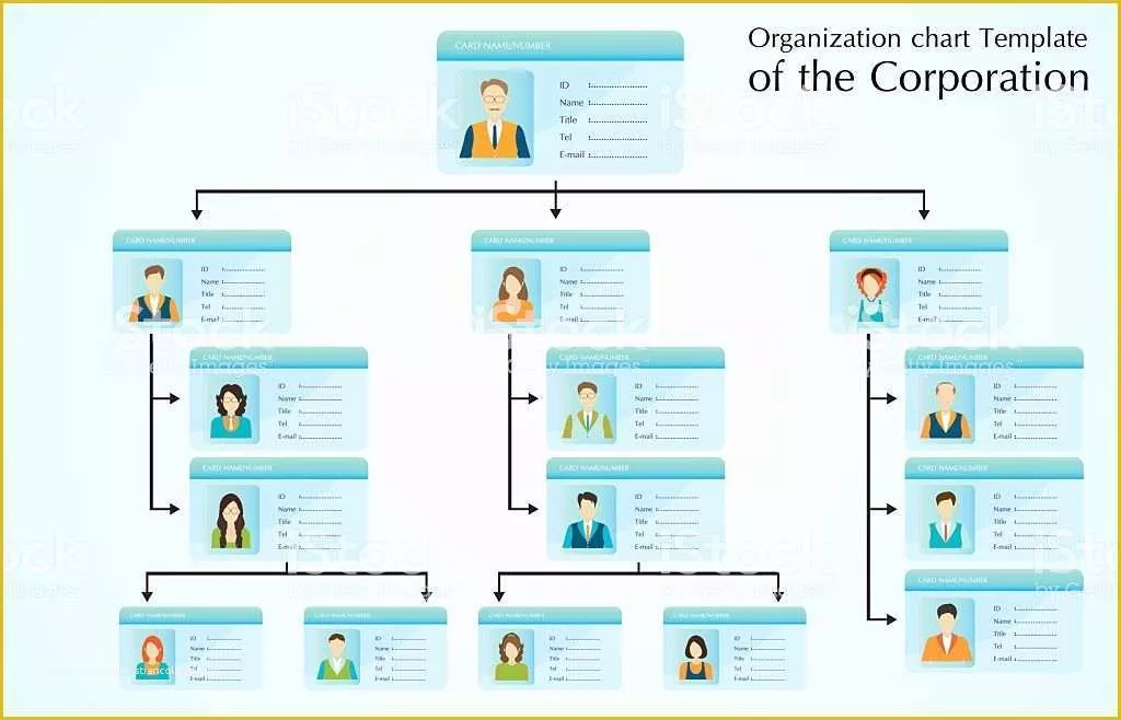 Hierarchy Chart Template Free Of organizational Chart Template the Corporation Stock