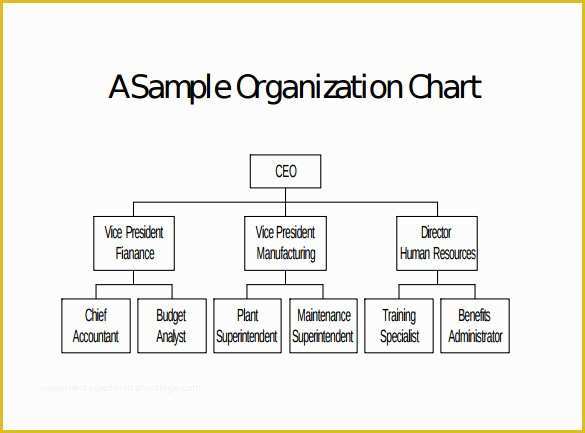 Hierarchy Chart Template Free Of Sample Blank organizational Chart 8 Documents In Pdf