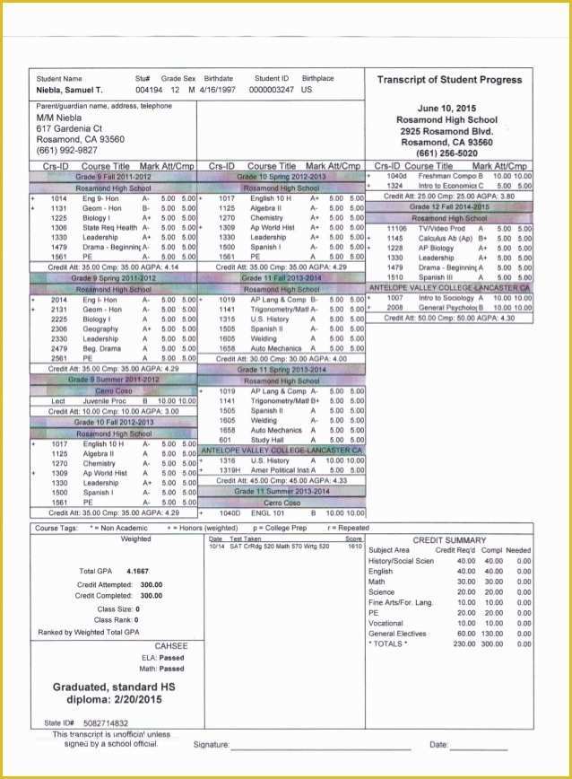 High School Transcript Template Free Of High School Transcript