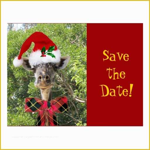 Holiday Save the Date Free Templates Of Christmas Giraffe Postcard