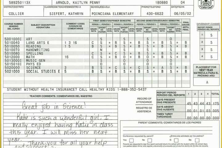 Homeschool High School Report Card Template Free Of Elementary School Report Card Template
