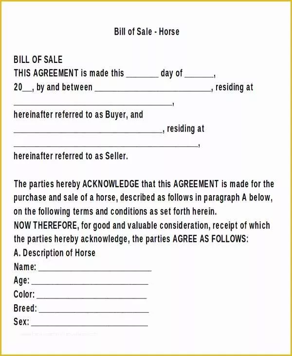 Horse Bill Of Sale Template Free Of 8 Horse Bill Of Sales