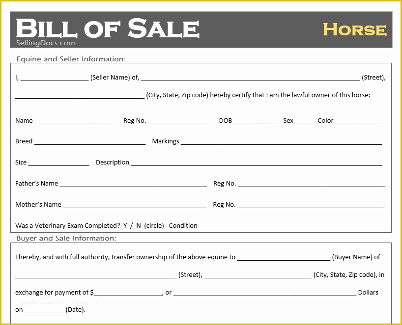 Horse Bill Of Sale Template Free Of Free Printable Horse Bill Of Sale Template Selling Docs