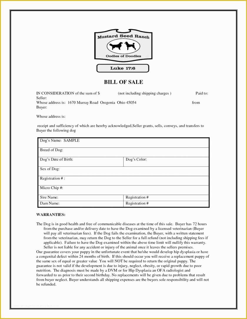 bill-of-sale-word-templates-free-word-templates-ms-word-templates