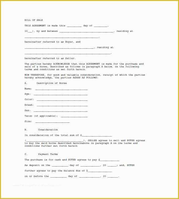 Horse Bill Of Sale Template Free Of Horse Bill Of Sale – 8 Free Word Excel Pdf format