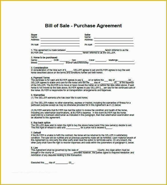 Horse Bill Of Sale Template Free Of Horse Bill Of Sale – 8 Free Word Excel Pdf format