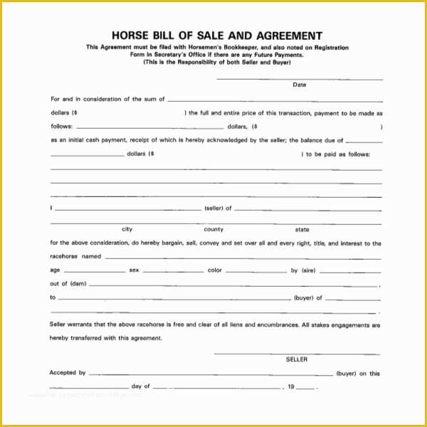 Horse Bill Of Sale Template Free Of Sample Horse Bill Of Sale forms 7 Free Documents In Pdf