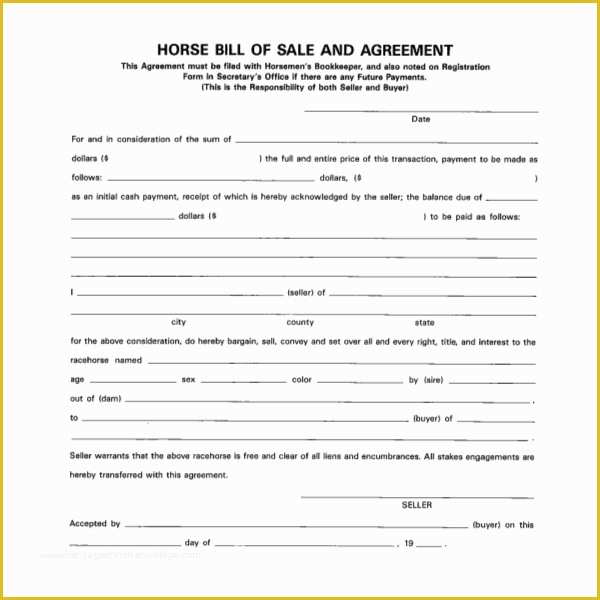 bill of sale template for horse