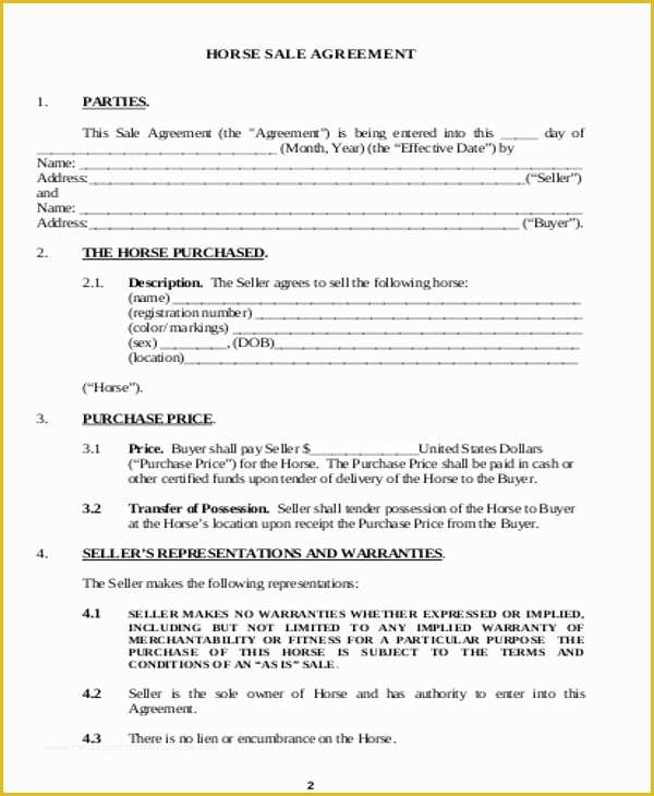 Horse Boarding Contract Template Free Of Contract Sale Horse Download Cv Letter and