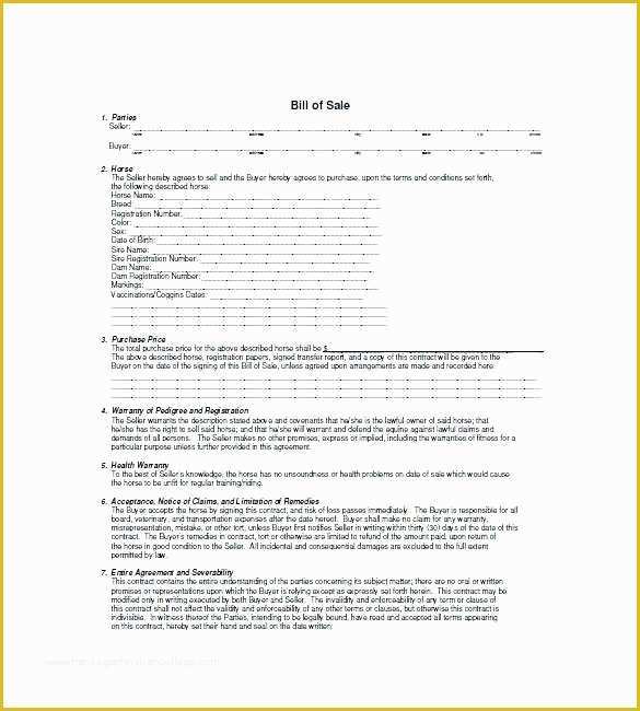 Horse Boarding Contract Template Free Of Horse Training Contract Template Bay area Equestrian