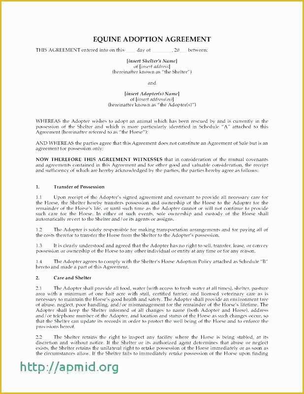 Horse Boarding Contract Template Free Of Sales Contract Template Word Free Horse Sale Uk Gallery