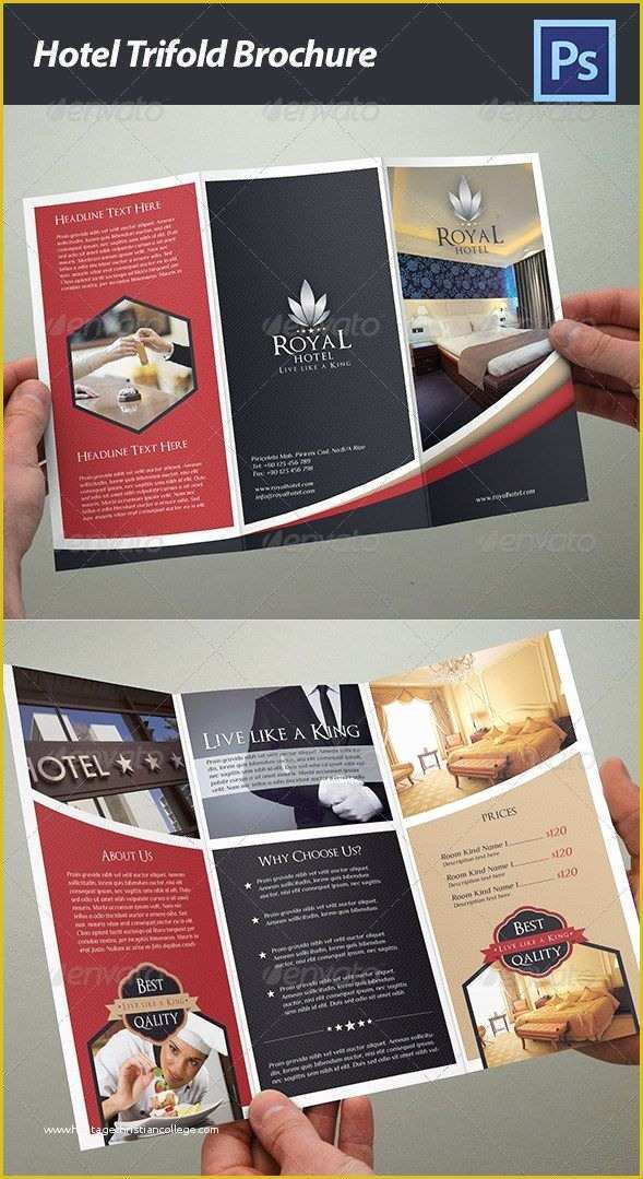 Hotel Brochure Templates Free Download Of 100 Free & Premium Brochure Templates Shop Psd