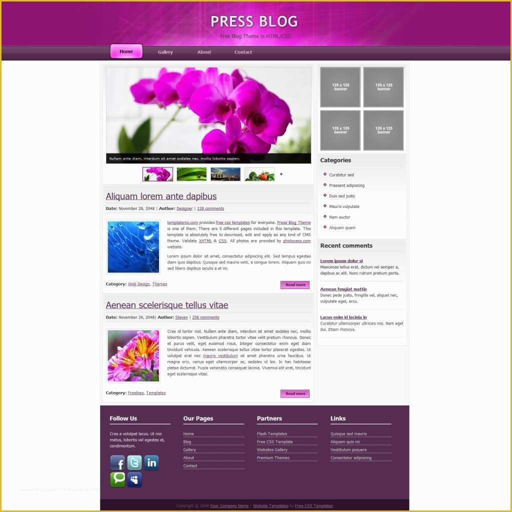 Html and Css Templates with source Code Free Download Of Free HTML Website Templates source Code Free