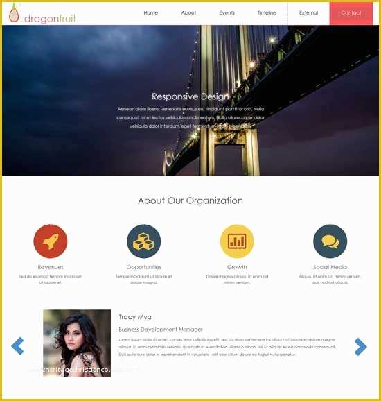 Html5 Portfolio Website Templates Free Download Of 50 Free Responsive HTML5 Css3 Website Templates