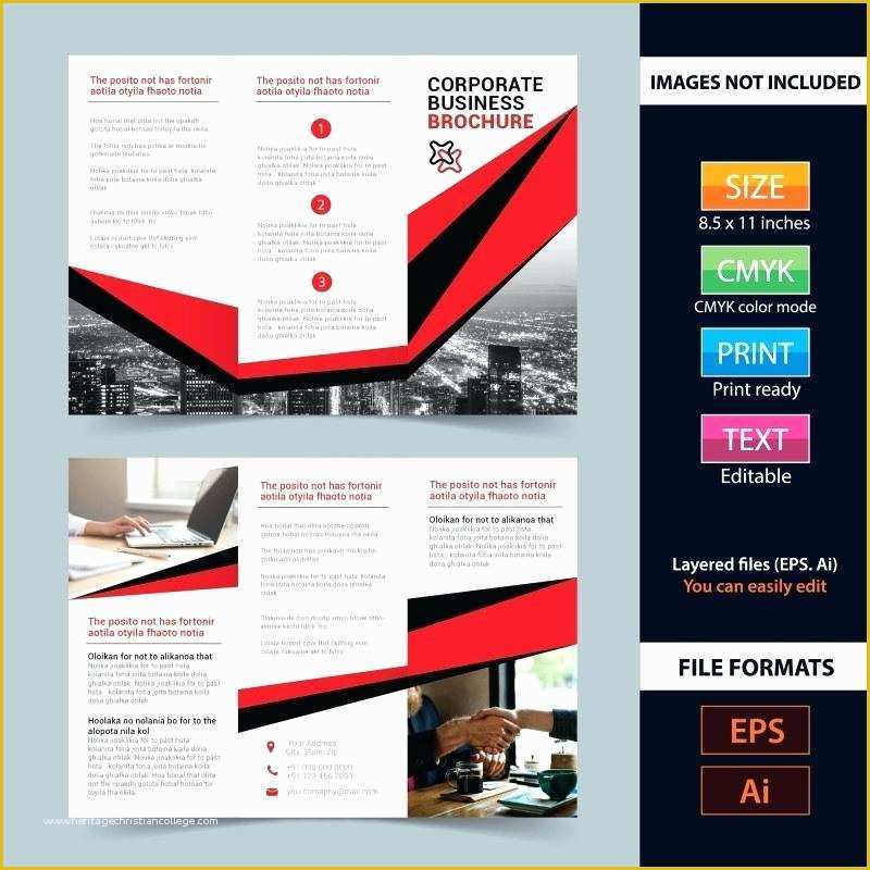 Illustrator Free Templates Download Of Brochure Template Illustrator Free Download