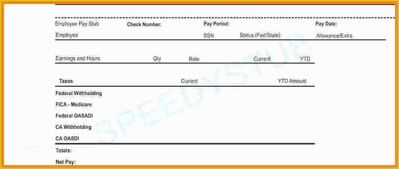 Independent Contractor Pay Stub Template Free Of 5 Pay Stub for 1099