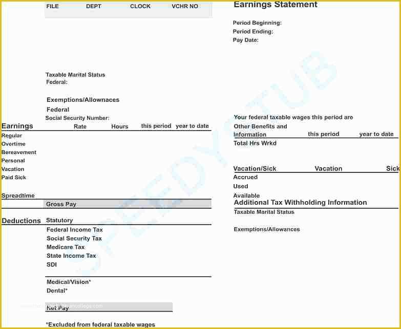 Independent Contractor Pay Stub Template Free Of 7 Independent Contractor Pay Stub