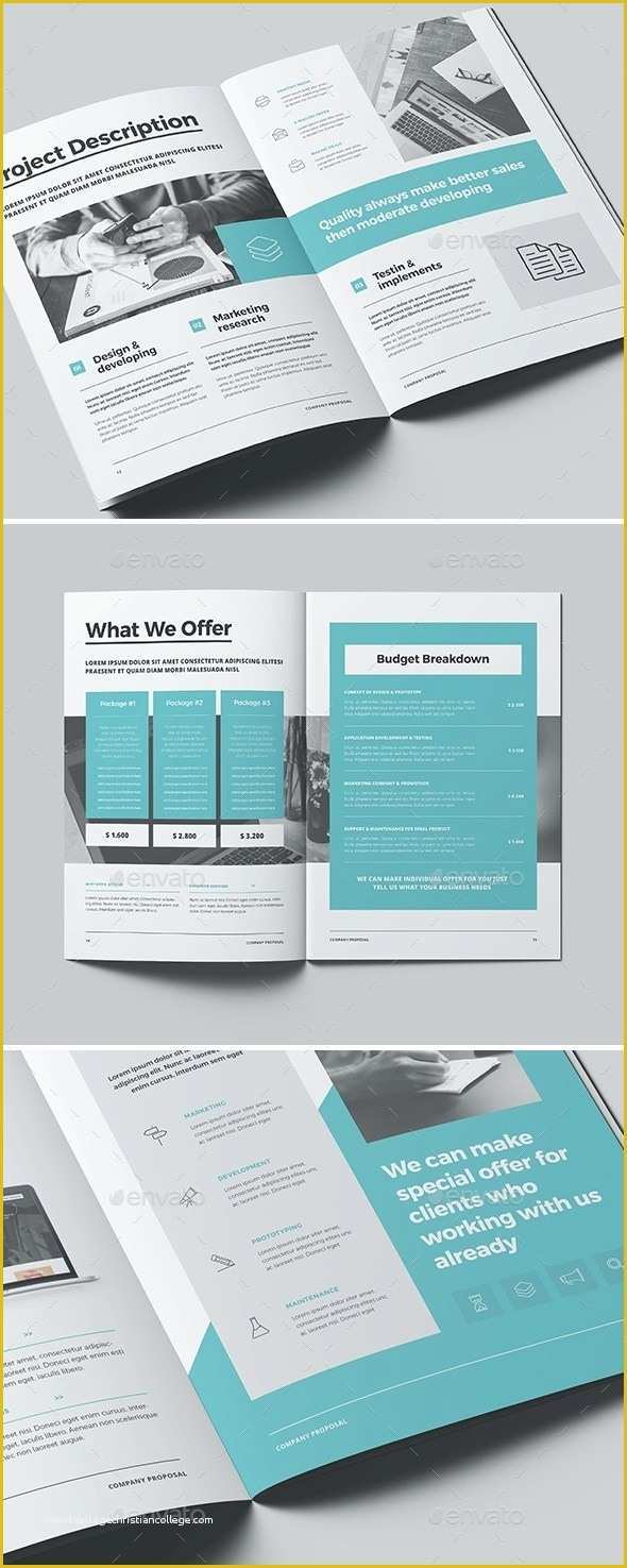 Indesign Business Proposal Templates Free Of 30 Indesign Business Proposal Templates