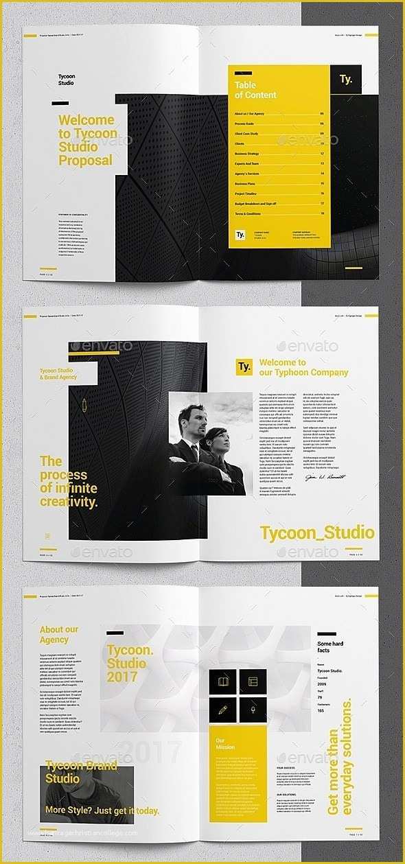 Indesign Business Proposal Templates Free Of 30 Indesign Business Proposal Templates