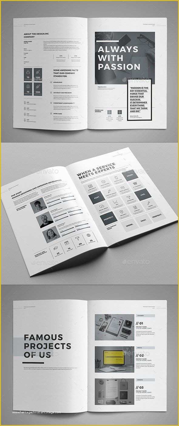 Indesign Business Proposal Templates Free Of 30 Indesign Business Proposal Templates