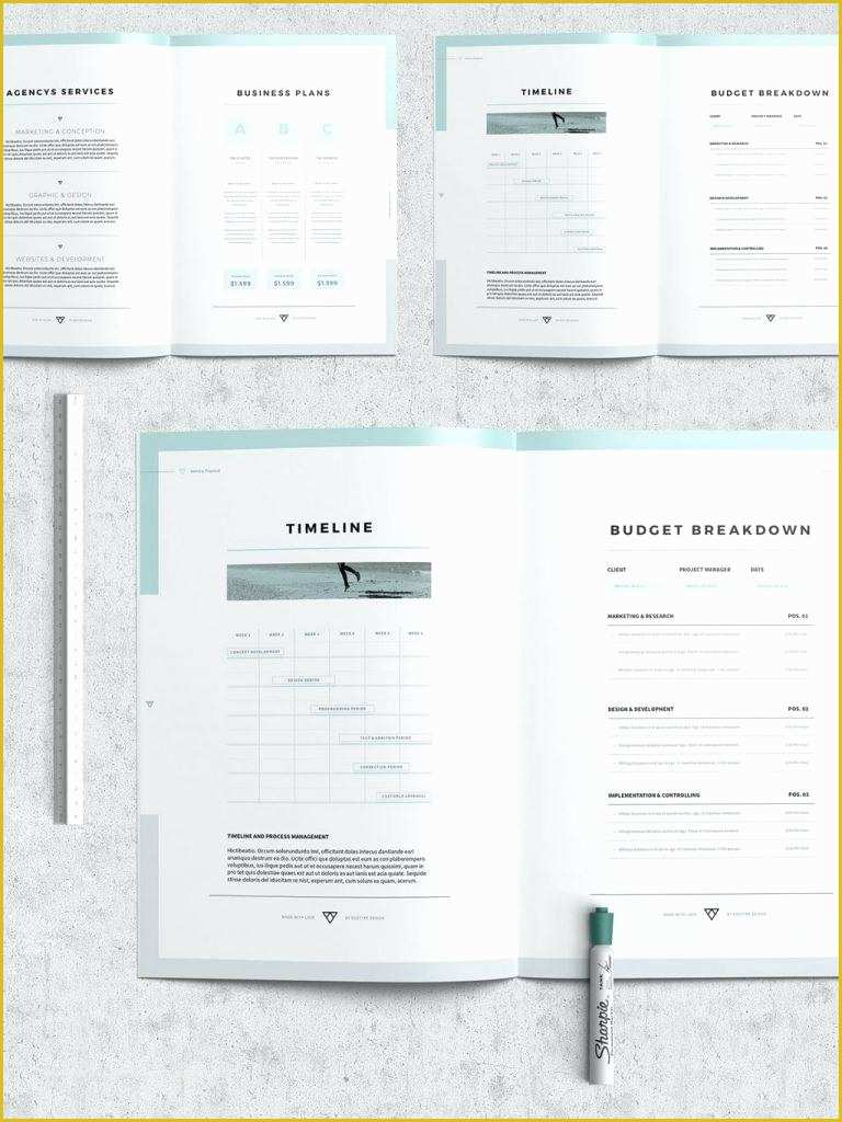 Indesign Business Proposal Templates Free Of Indesign Business Plan Template Resume Template Luxury