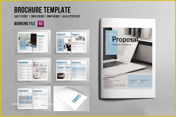 Indesign Business Proposal Templates Free Of Indesign Business Proposal On Pantone Canvas Gallery