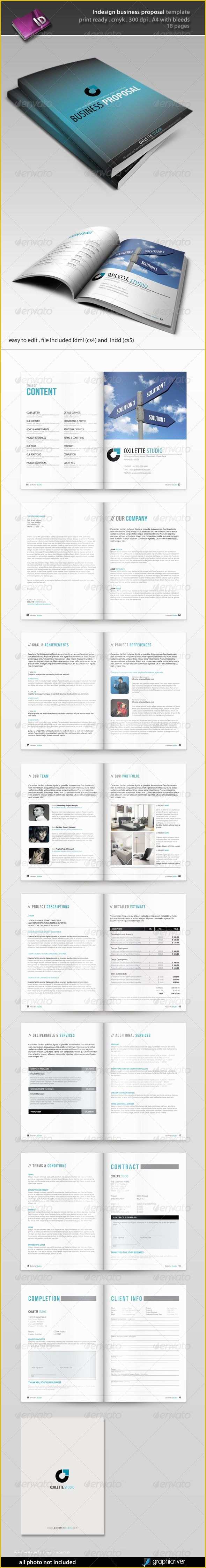 Indesign Business Proposal Templates Free Of Indesign Business Proposal Template
