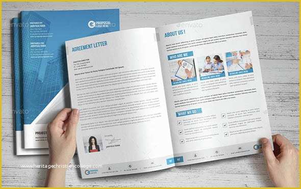 Indesign Business Proposal Templates Free Of Indesign Proposal Templates Indesign Proposal Template 18