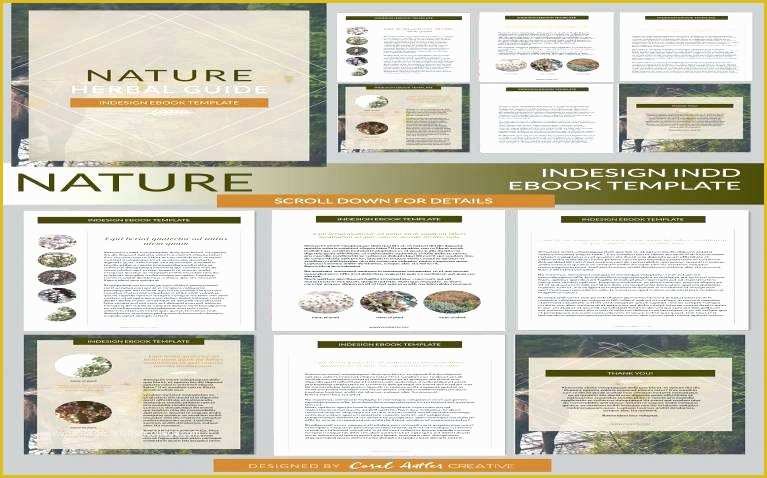 Indesign Ebook Template Free Download Of Altklub