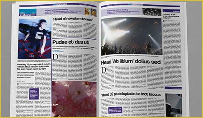 Indesign Newspaper Template Free Of 6 Free Indesign Newspaper Templates