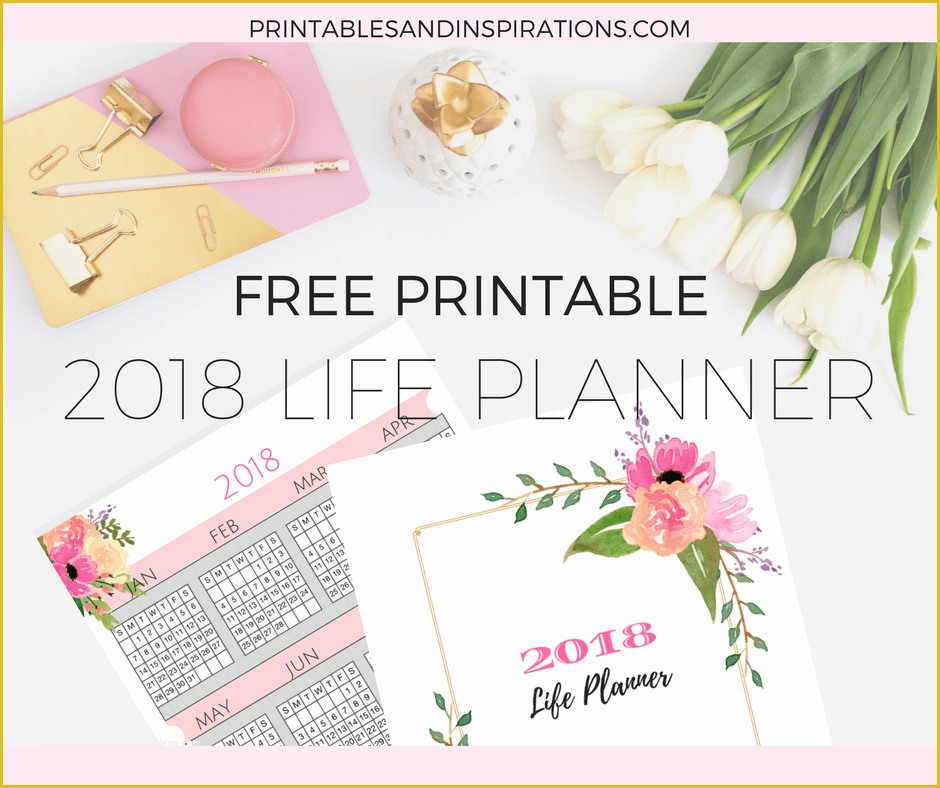Indesign Planner Template 2018 Free Of Free Printable 2018 Life Planner Not Just A Pink Calendar