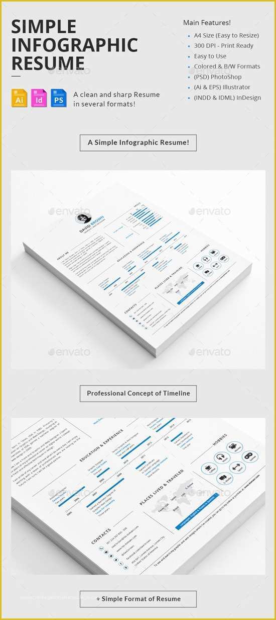 Infographic Resume Template Free Of Best Infographic Resume Templates for You
