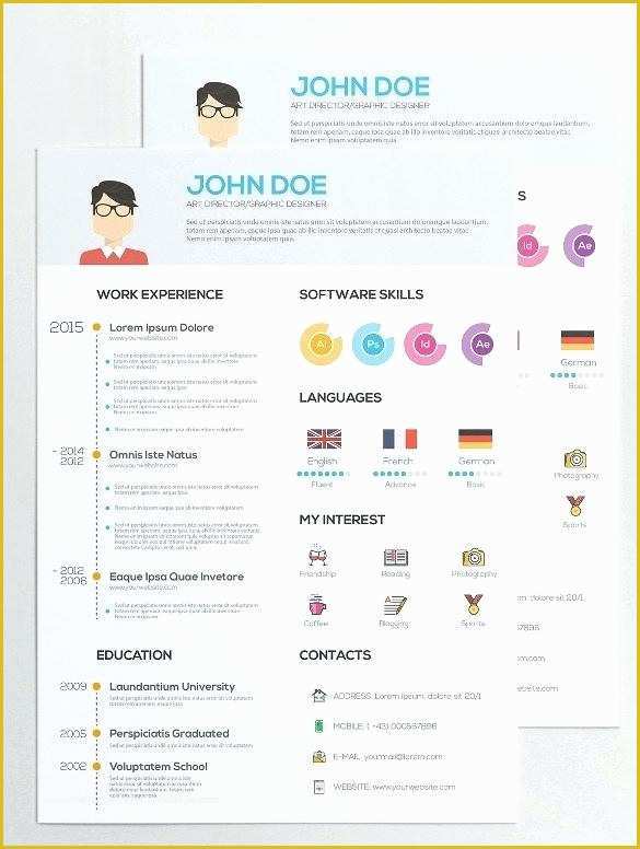Infographic Resume Template Free Of Infographic Cv Template