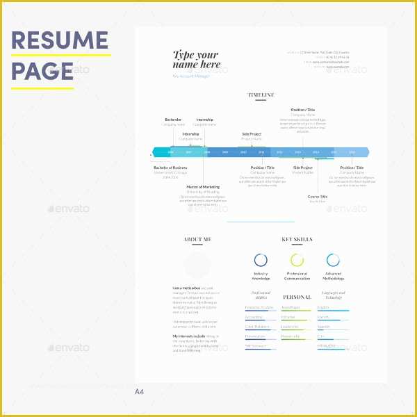 Infographic Resume Template Word Free Download Of 27 Infographic Resume Free Sample Example format Download
