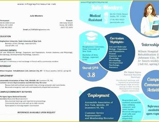 Infographic Resume Template Word Free Download Of Infographic Resume Templates Free Vector Infographic