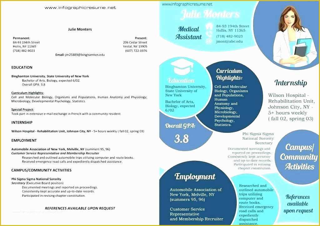 55 Infographic Resume Template Word Free Download