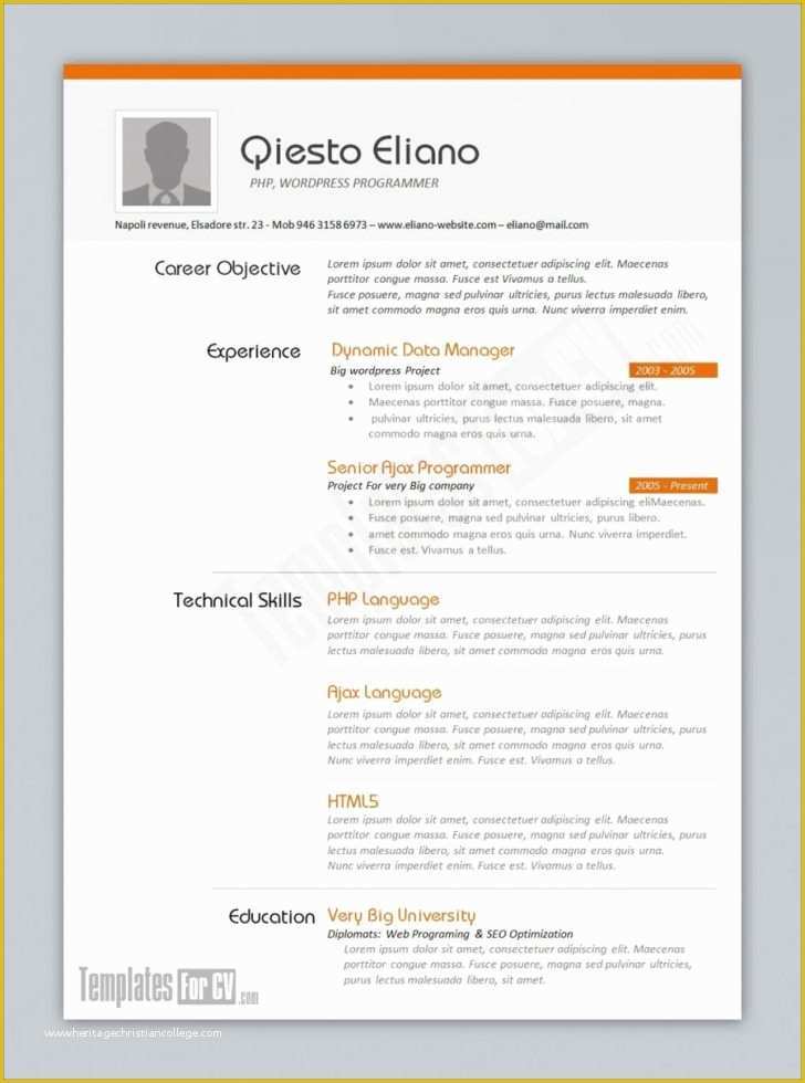 Infographic Resume Template Word Free Download Of Resume Template Free Infographic Resume Template Word