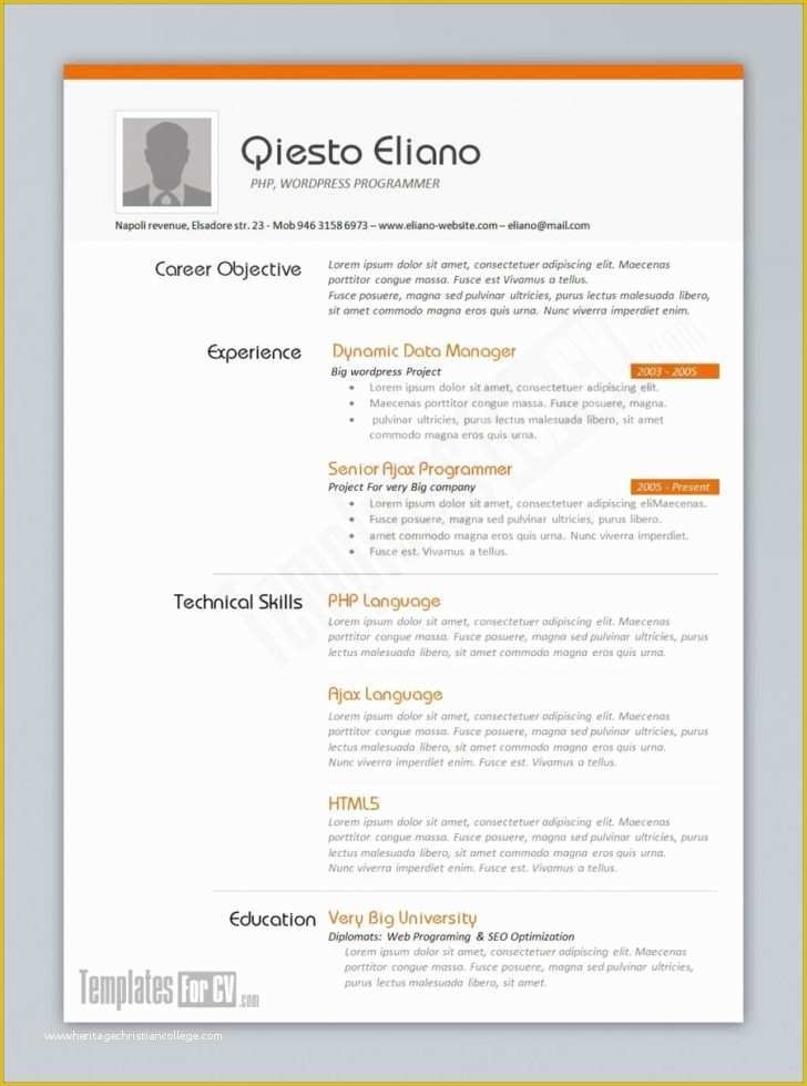 infographic-resume-template-word-free-download-of-resume-template-free