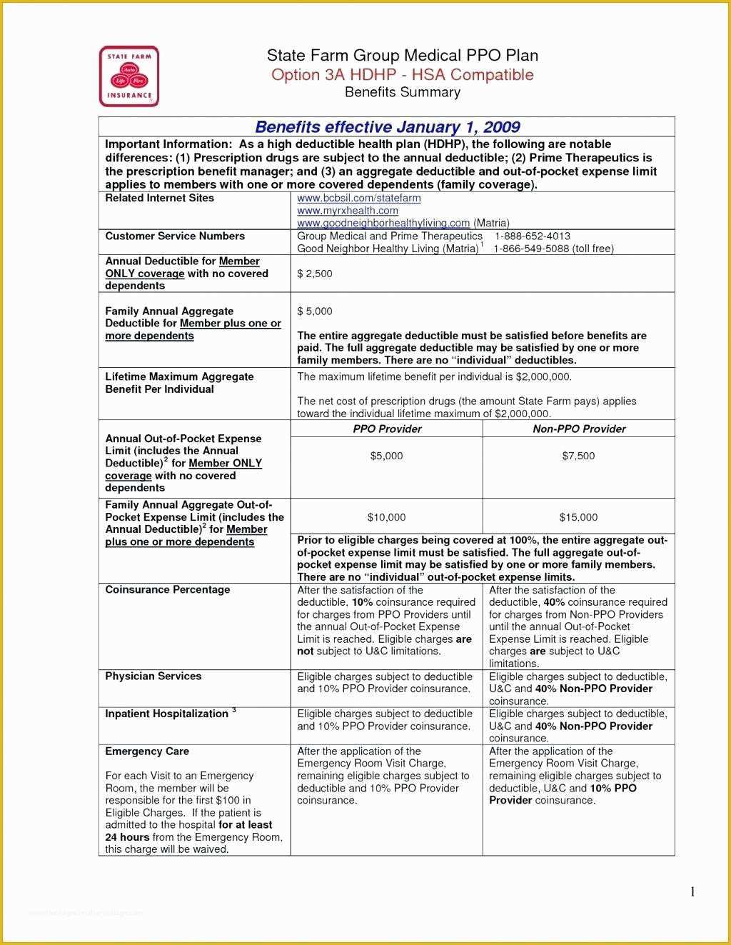 Insurance Business Plan Template Free Of Business Plan Template Example Strategic Plan Template