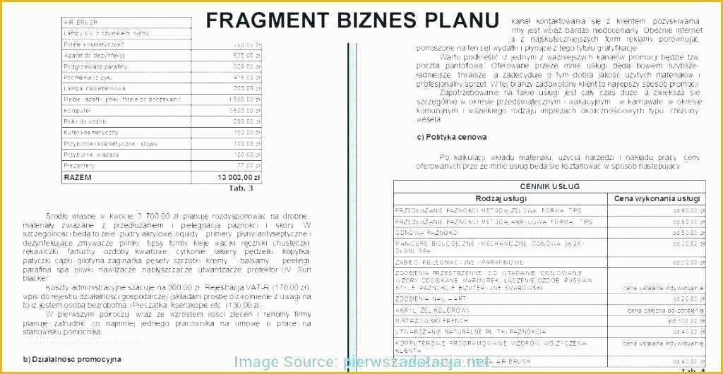 Insurance Business Plan Template Free Of Health Insurance Business Plan Template Fresh Best