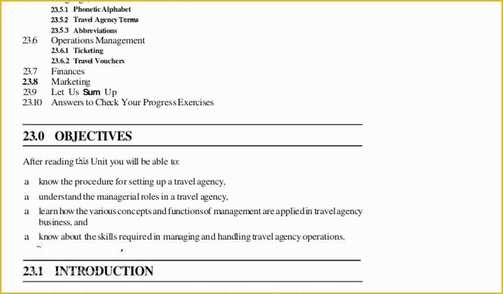 Insurance Business Plan Template Free Of Insurance Agency Business Plan Template – Sample Life