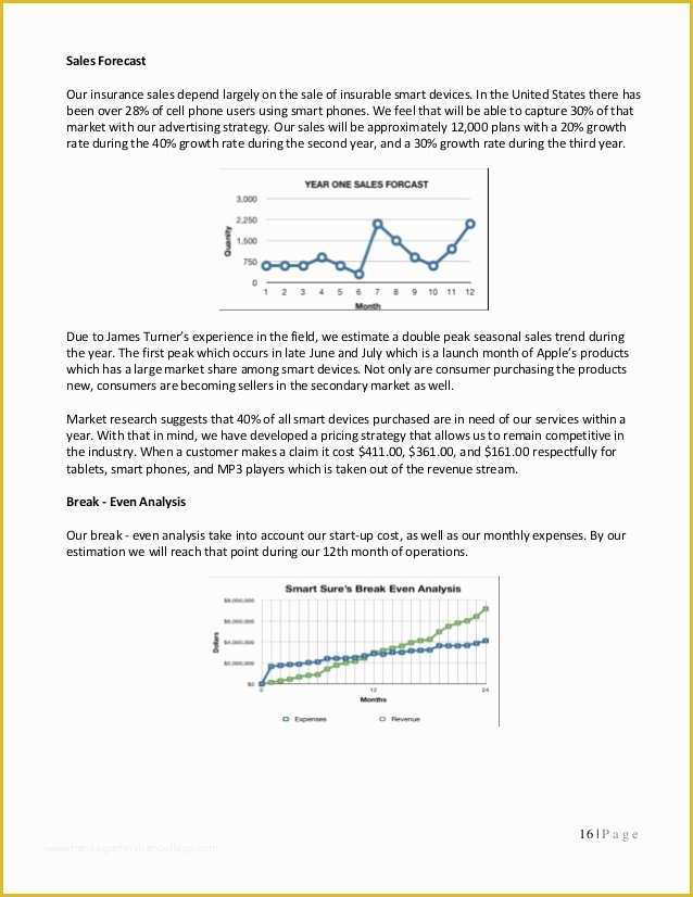 Insurance Business Plan Template Free Of Insurance Business Plan