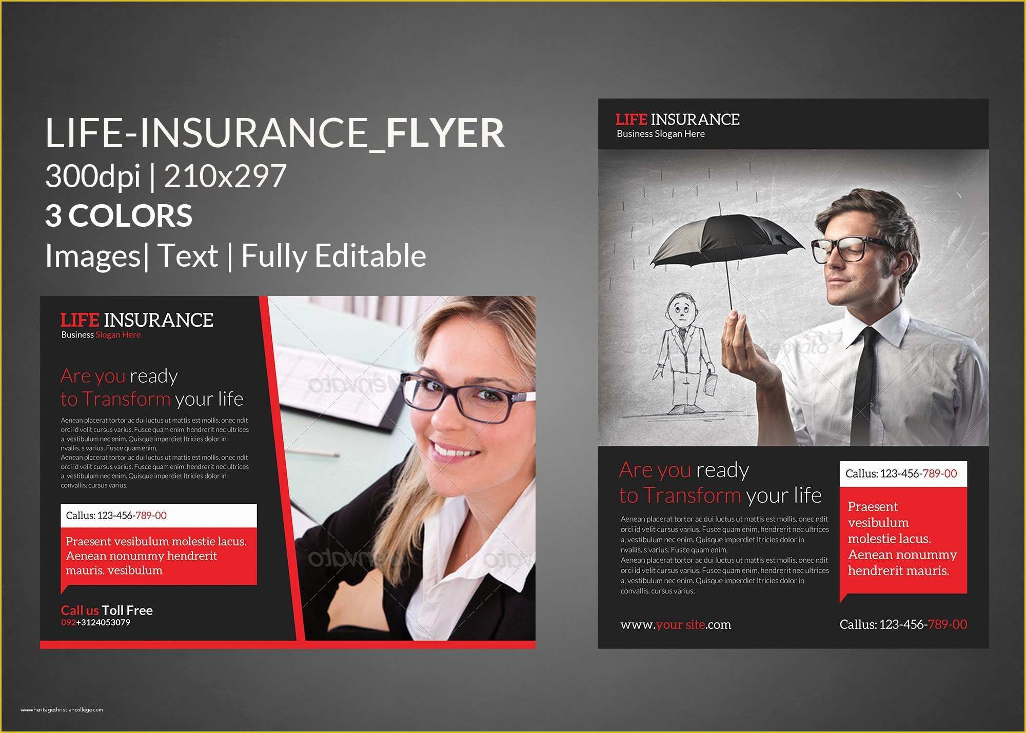 Insurance Flyer Templates Free Of Life Insurance Flyer Print Templates Flyer Templates