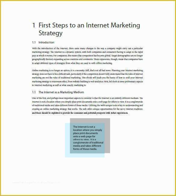 Internet Marketing Plan Template Free Of 10 Internet Marketing Plan Template Free Sample