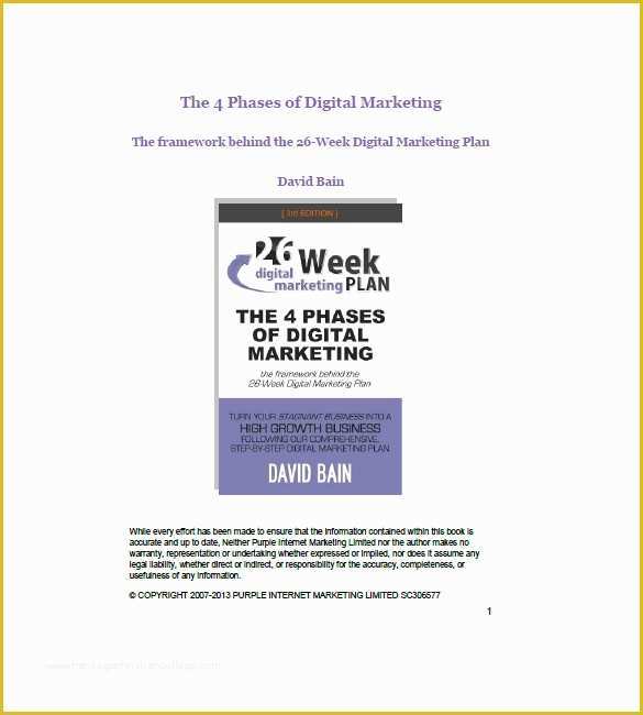 Internet Marketing Plan Template Free Of 10 Internet Marketing Plan Template Free Sample