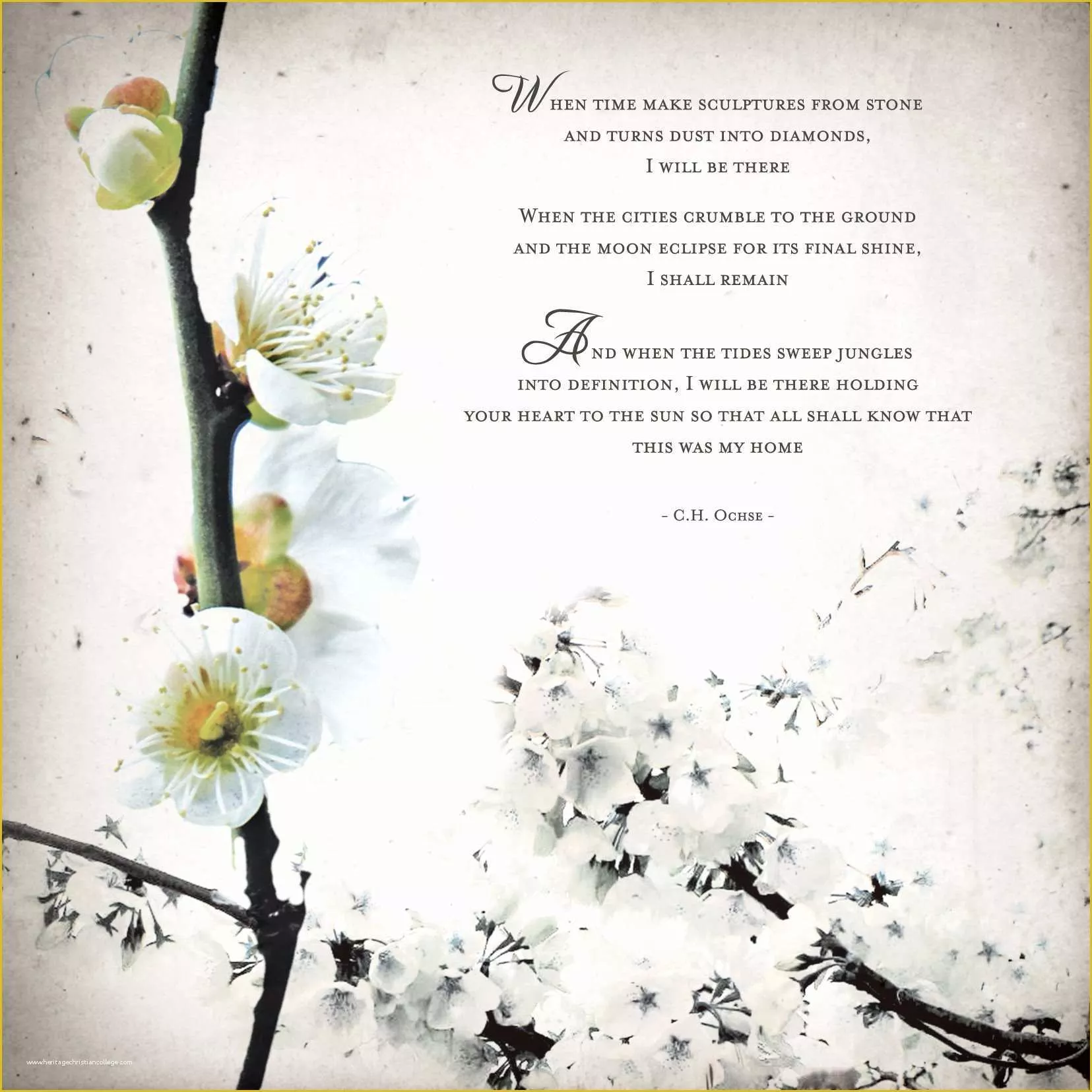 Invitation Templates Free Download Of Wedding Invite Template Wedding Invitation Templates